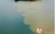 渭水和泾渭分明是同一条河吗与渭水