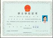毕业证证书编号与毕业证