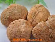 猴头菇怎样吃治胃病？猴头菇能治胃病吗？