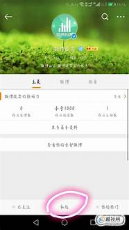 新浪微博投票与新浪