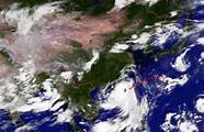 为什么叫台风与台风