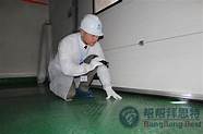 如何有效的灭鼠？