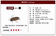 怎样灭鼠 这些方法最有效