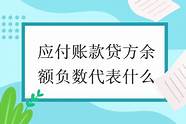 应付账款借方余额表示什么意思